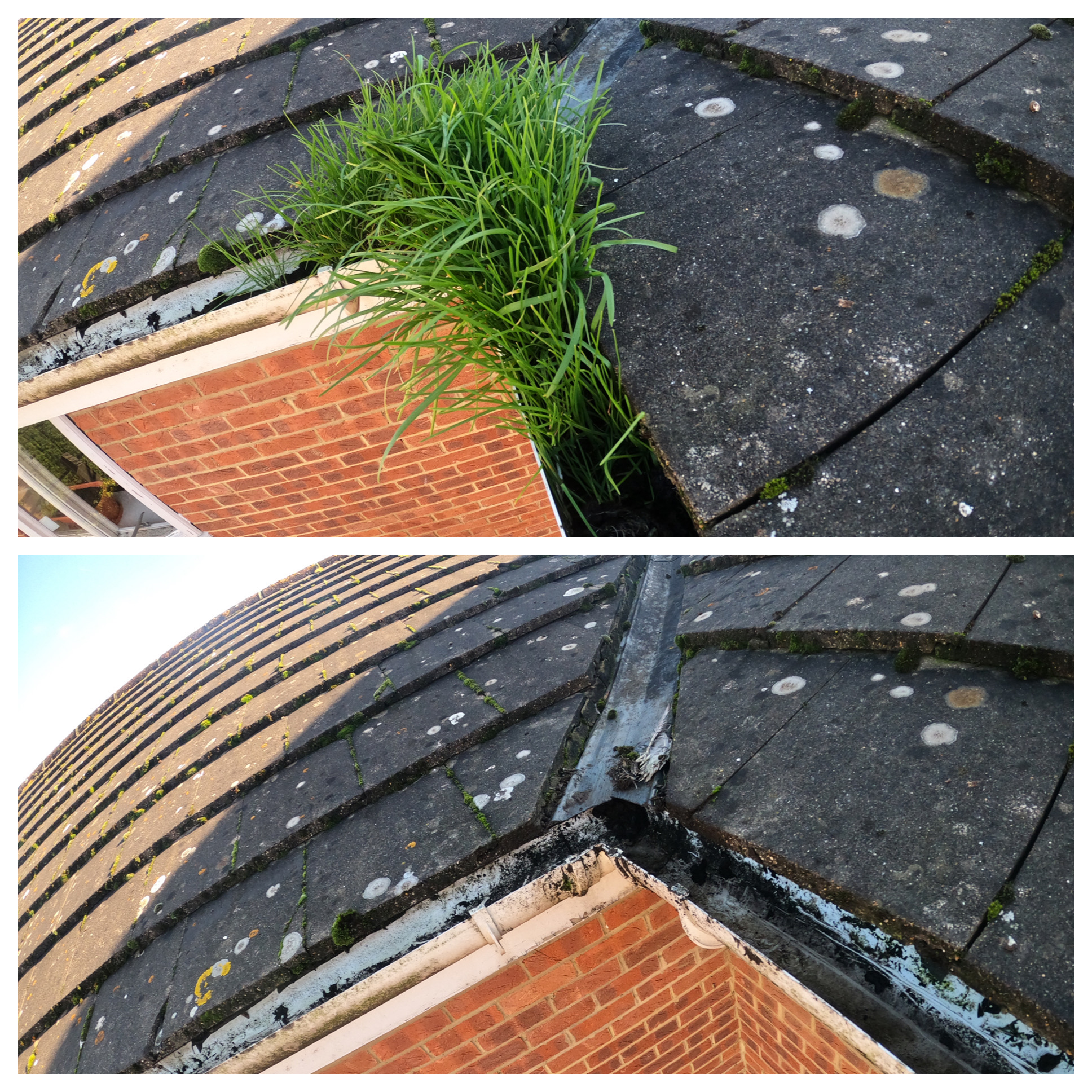 before and after gutter cleaning cheam 