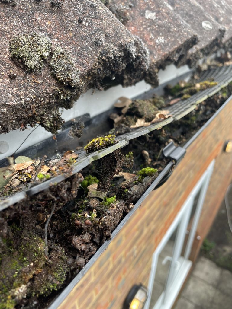 best time to clean your gutters